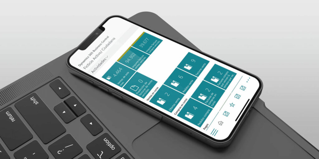 La importancia del software Business Central